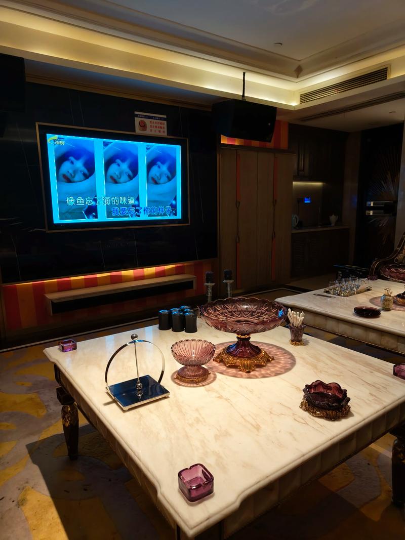 汉中商务ktv价格多少钱一个小时-西乡县ktv预订